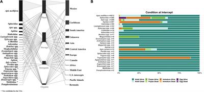 The Movement of Western Honey Bees (Apis mellifera L.) Among U.S. States and Territories: History, Benefits, Risks, and Mitigation Strategies